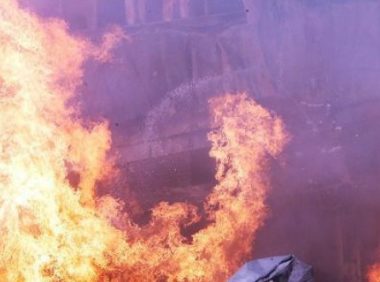 突发火灾夺去9只爱犬生命，主人含泪发文提醒，用电安全很重要