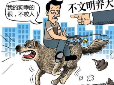 遭恶犬咬死老人家属已和狗主和解,恶犬伤人必须下狠手治理!