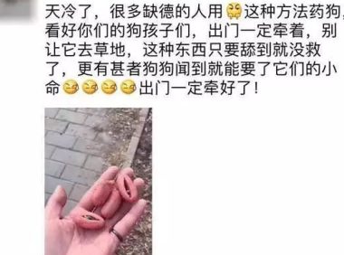 朋友圈被『毒香肠』刷屏了养狗好几年,香肠毒死它却只要几分钟