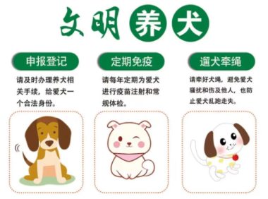 流浪狗咬伤孩童，民警将犬送往宠物救助站