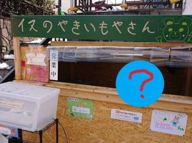 主人雇不到员工卖地瓜，最后找柴犬当老板，狗狗：但我不会找钱