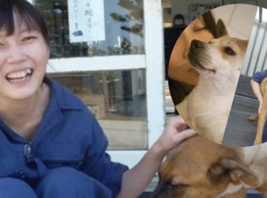 “最美兽医”简稚澄:亲手结束上千只狗狗生命,最后选择自杀离去