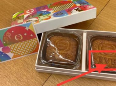 汪明荃和罗家英月饼收多了，竟拿出来喂狗了？