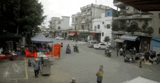 令老人意外死亡并“逃离”现场的牵狗女孩：爱怎么评价就怎么评价