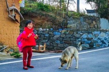 桥洞深处传来狗叫声，农村小男孩不顾危险，独自深入救狗