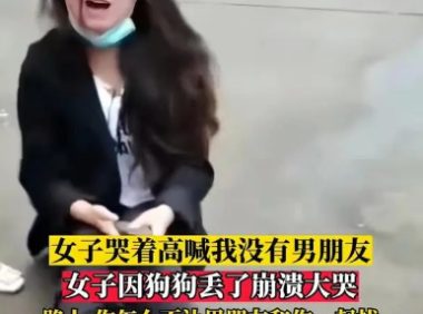 女孩丢了宠物狗,坐在大街上崩溃大哭