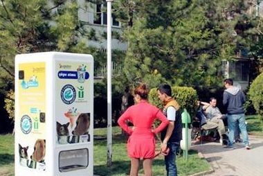 提供食物给流浪猫 | 自动贩卖机,用回收瓶子为流浪猫狗提供食物!