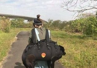 狗狗年纪大走不动 瘦弱女主人一把背起爱犬