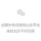 狗子长得很像“喝醉了酒”，网友：这很明显是喝高了！