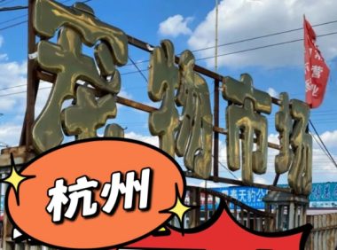 杭州宠物猫狗交易市场来了,杭州买狗买猫了