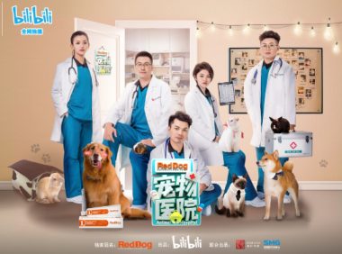 RedDog红狗独家冠名《宠物医院》 成功打响2019年全国首档宠物医疗观察类真人秀纪录片第一枪