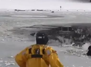 狗狗误坠冰湖无法动弹，消防员10秒救狗脱险：遛狗需注意！