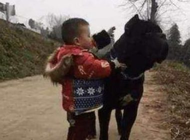 小毛孩拉着狗狗回家，下一秒钟小毛孩的做法让情景的确是太溫暖了