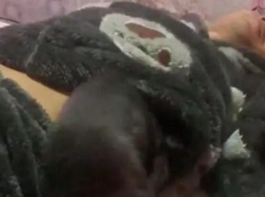 天冷了，狗狗钻主人睡衣里取暖，狗子：爸，你穿我大衣了！