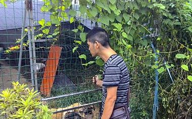 快递小哥自掏腰包建狗舍 收留数只流浪狗