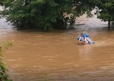 暴雨倾盆狗窝被淹，勇敢狗妈妈跳入洪水中救小奶狗，还惊动了民警