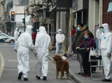 如何科学处置隔离人员的宠物犬