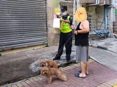 举报有奖！这些不文明养犬行为将被重点整治！