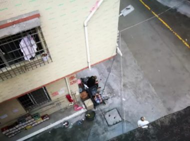 天上掉下来一只狗,被砸中的女子成一级伤残,法院判赔117万