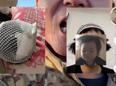 宠物狗送去驯化成网红,被要求签“百万赔偿合同”