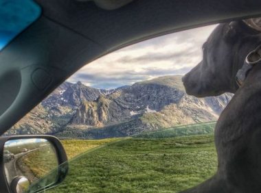 美国的一男子开着卡车带着宠物狗踏上了跨国之旅