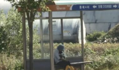 老人每天背小狗坐车遭怀疑，网友跟踪到墓地发现感人一幕…