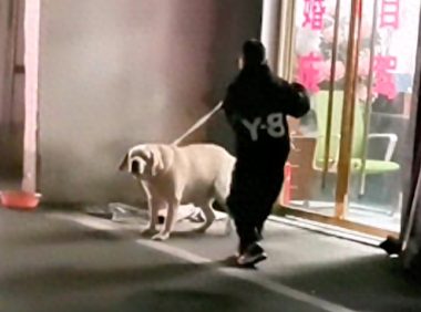 小男孩用绳子抽打店门口的狗狗，它边闪躲还边摇尾巴示好，好心疼