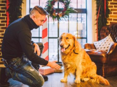 当主人踩到狗vs当狗踩到主人,噗哈哈哈心疼铲屎官!