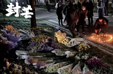 遛狗不牵绳闹出人命，“凶手”哪去了？后续出乎所有人意料
