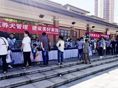 给爱犬办证 家门口搞定 株洲启动文明养犬进社区地推活动