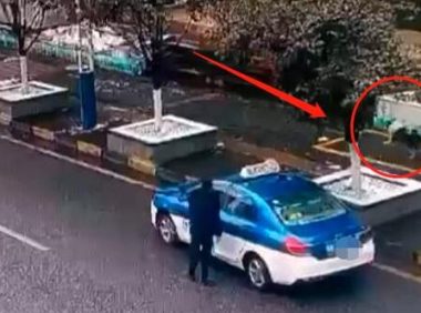 贵阳的哥当街“诱拐”宠物狗？狗主人：太气愤！不想赔偿，只想找到它