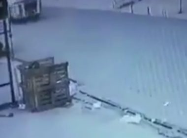 大爷拦住流浪狗去路，才躲过疾驰而来的大货车，可狗却不走了！