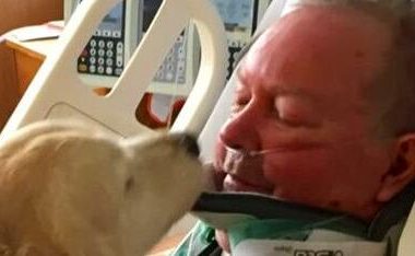 主人受伤瘫痪雪地中 忠犬用身体帮取暖20个小时