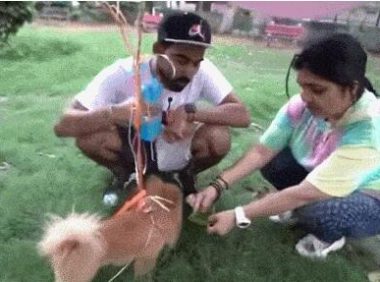 在博美身上绑气球放飞….400万粉丝的网红虐狗被捕!