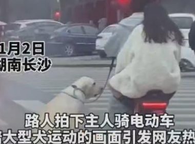 主人骑电动车溜大型犬，拍摄者：“感觉特别暖心”