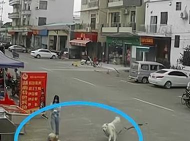 狗绳绊倒老人致其死亡，牵狗女孩逃离现场