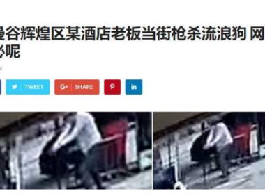 疑因姿势不对，男子投喂流浪狗被咬，恼羞成怒把狗打死