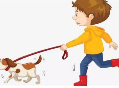 厦门老人被狗撞倒26天后身亡，家属索赔44万