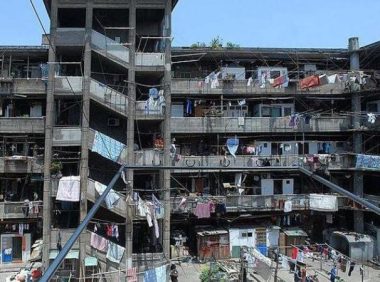 聪明的狗狗被邻居们选为“楼长”,关键时刻的举动救了主人的命