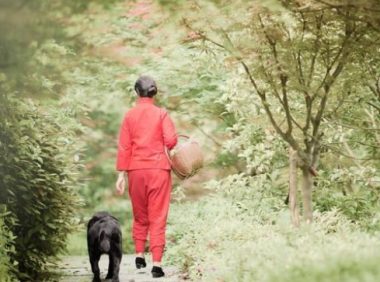 开车途中偶遇五只小奶狗，带回家后竟被人说不务正业
