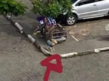 流浪汉住院，狗狗医院门口守着全部家当等待20多天，终于相见…