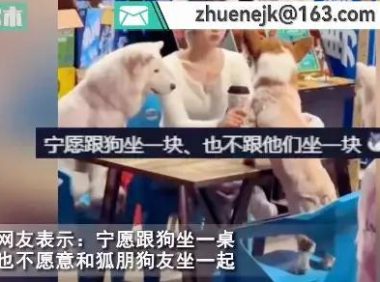 女生不喝酒被安排和狗坐一桌，无可奈何喂狗烤串，爆笑