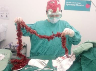 狗狗把90公分长的圣诞节彩带吞下肚，紧急送医才救回一命