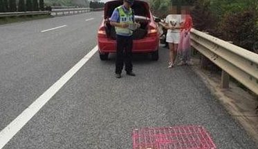 高速公路上爆胎 驾驶员竟把狗装在狗笼里当警示牌
