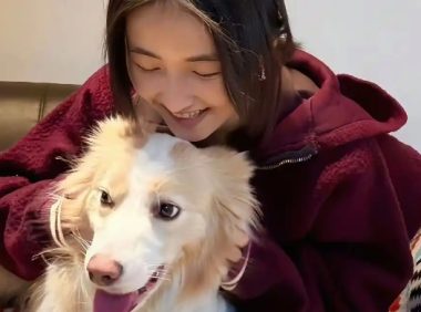 张子枫戏里戏外都收养了这只小狗，将温暖延续