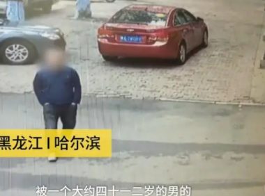 连二哈都偷?哈士奇独自遛弯,不料被出租车司机“顺手牵狗”