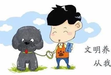 为期一个月，福山区开始对违规养犬进行专项整治