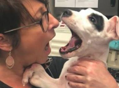 狗狗天生就多一条前腿，另一条前腿还比较严重弯折，连站起來都是个问题