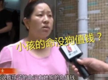 6岁男童被狗咬伤,反被狗主人索赔2万,难道小孩的命没狗值钱?