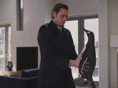 别人都是遛狗遛猫,他上街溜企鹅